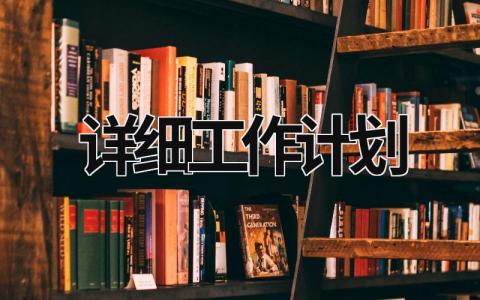 详细工作计划 (19篇）