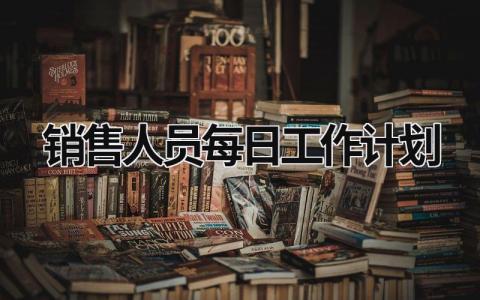 销售人员每日工作计划 (15篇）