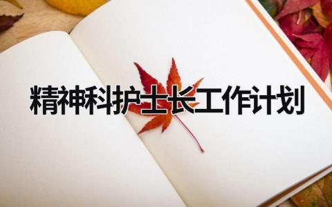 精神科护士长工作计划 (8篇）