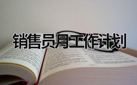 销售员月工作计划 (18篇）