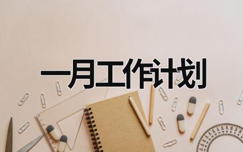 一月工作计划 (20篇）