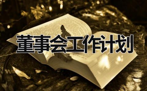 董事会工作计划 (14篇）