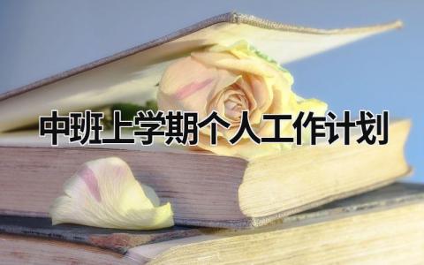 中班上学期个人工作计划 (16篇）