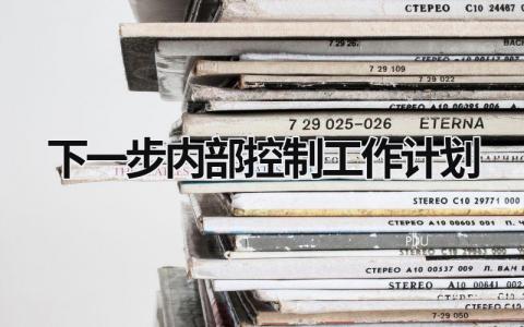 下一步内部控制工作计划 (5篇）