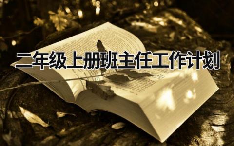 二年级上册班主任工作计划 (15篇）