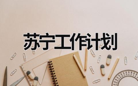 苏宁工作计划 (15篇）