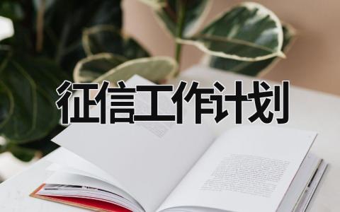 征信工作计划 (17篇）