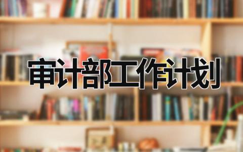 审计部工作计划 (15篇）