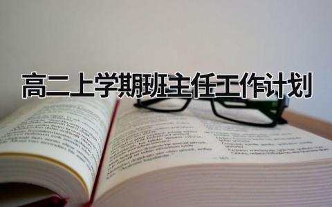 高二上学期班主任工作计划 (20篇）