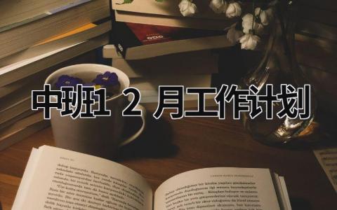 中班12月工作计划 (20篇）