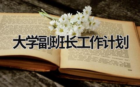 大学副班长工作计划 (12篇）