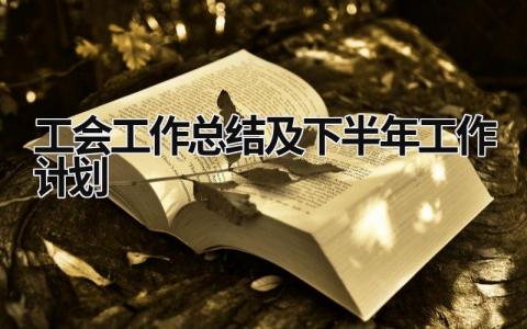 工会工作总结及下半年工作计划 (15篇）