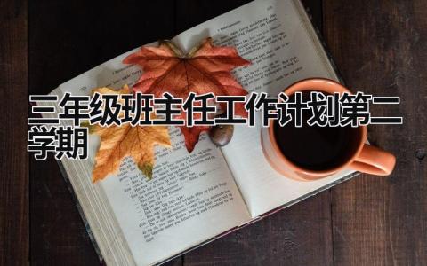 三年级班主任工作计划第二学期 (19篇）