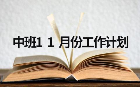 中班11月份工作计划 (18篇）