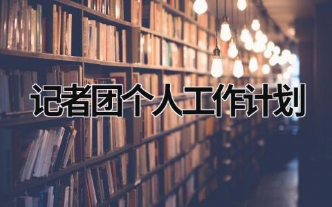 记者团个人工作计划 (16篇）