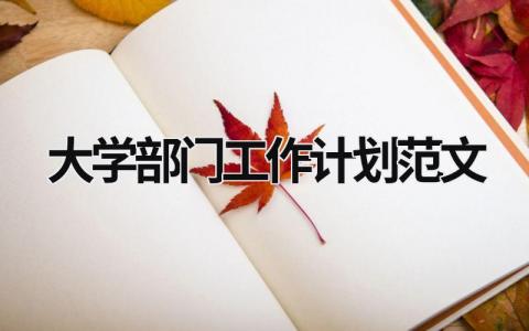 大学部门工作计划范文 (17篇）