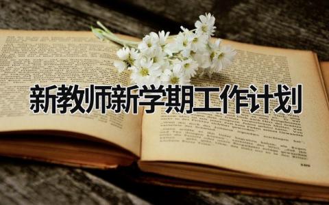 新教师新学期工作计划 (21篇）