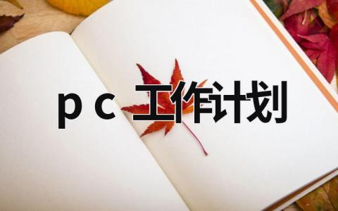 pc工作计划 (16篇）