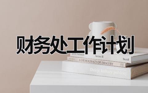 财务处工作计划 (15篇）