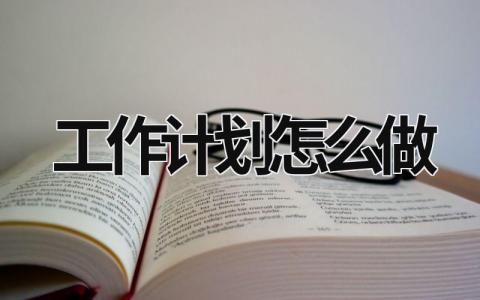 工作计划怎么做 (13篇）