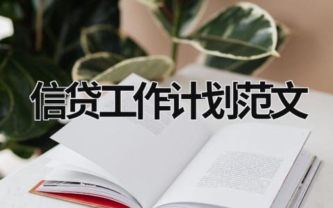 信贷工作计划范文 (10篇）