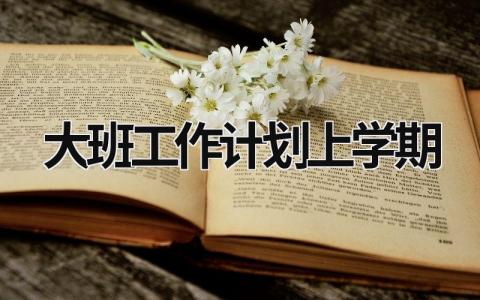 大班工作计划上学期 (18篇）