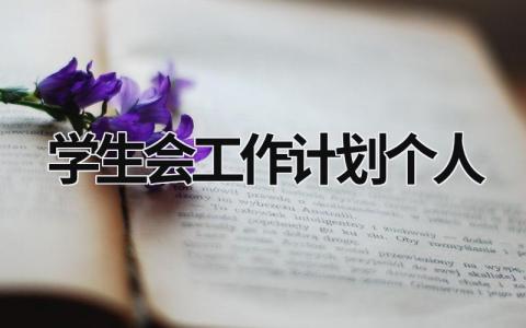 学生会工作计划个人 (17篇）