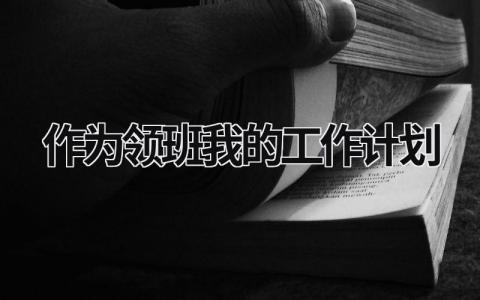 作为领班我的工作计划 (19篇）