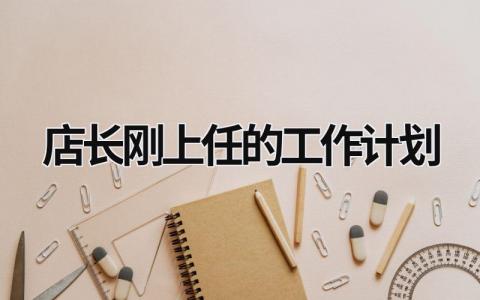 店长刚上任的工作计划 (11篇）