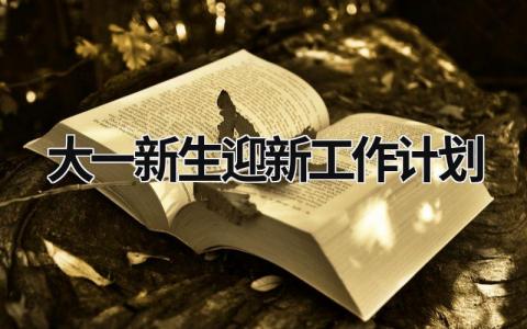 大一新生迎新工作计划 (20篇）