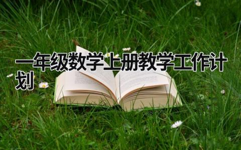 一年级数学上册教学工作计划 (8篇）