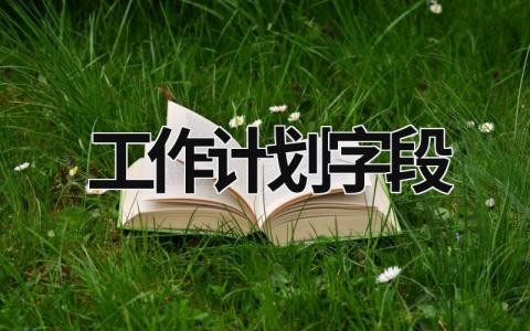 工作计划字段 (15篇）