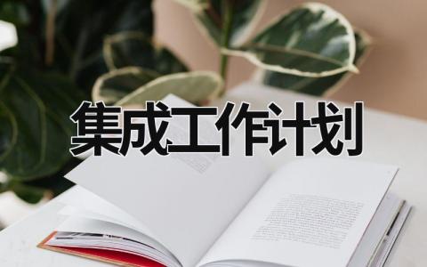 集成工作计划 (21篇）