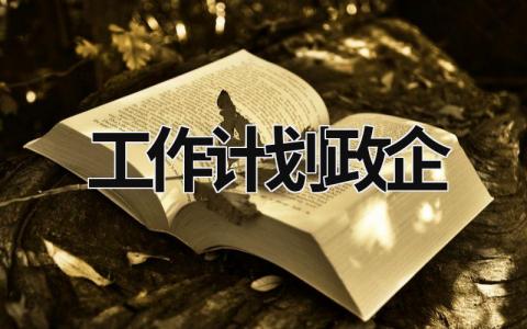 工作计划政企 (15篇）