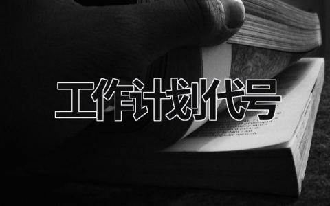 工作计划代号 (14篇）