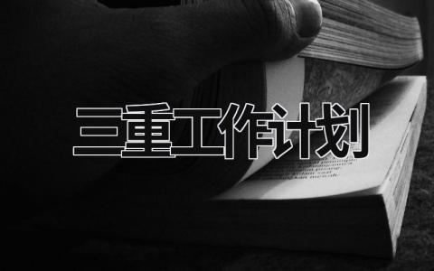 三重工作计划 (17篇）