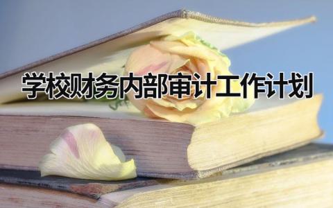 学校财务内部审计工作计划 (16篇）