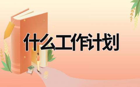 什么工作计划 (19篇）