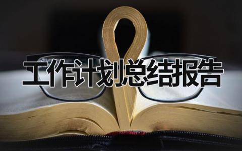 工作计划总结报告 (17篇）