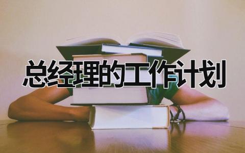 总经理的工作计划 (17篇）