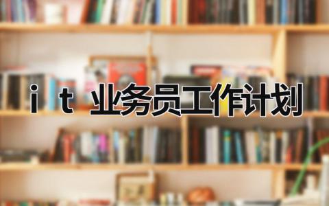 it业务员工作计划 (20篇）