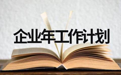 企业年工作计划 (21篇）