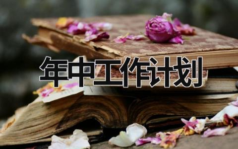 年中工作计划 (17篇）