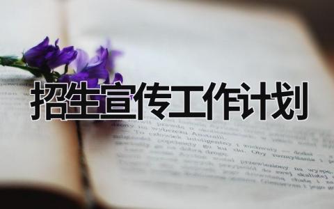 招生宣传工作计划 (18篇）