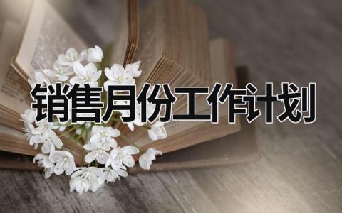 销售月份工作计划 (15篇）