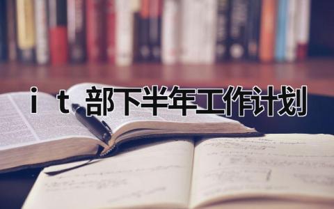 it部下半年工作计划 (18篇）