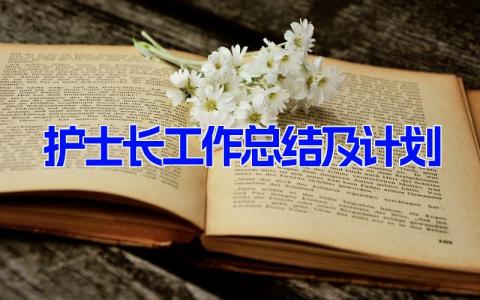 护士长工作总结及计划最新版(5篇)