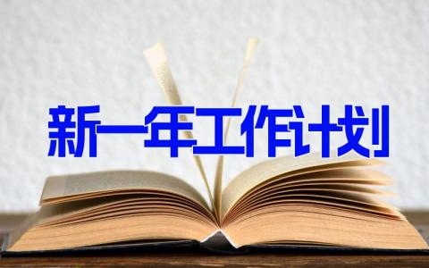 新一年工作计划怎么写最新范文(10篇)