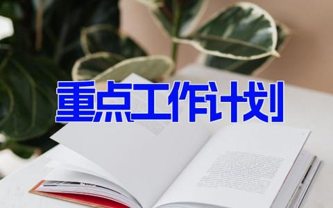 重点工作计划内容怎么写范文(8篇）