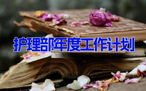 护理部年度工作计划2024年范文(4篇）